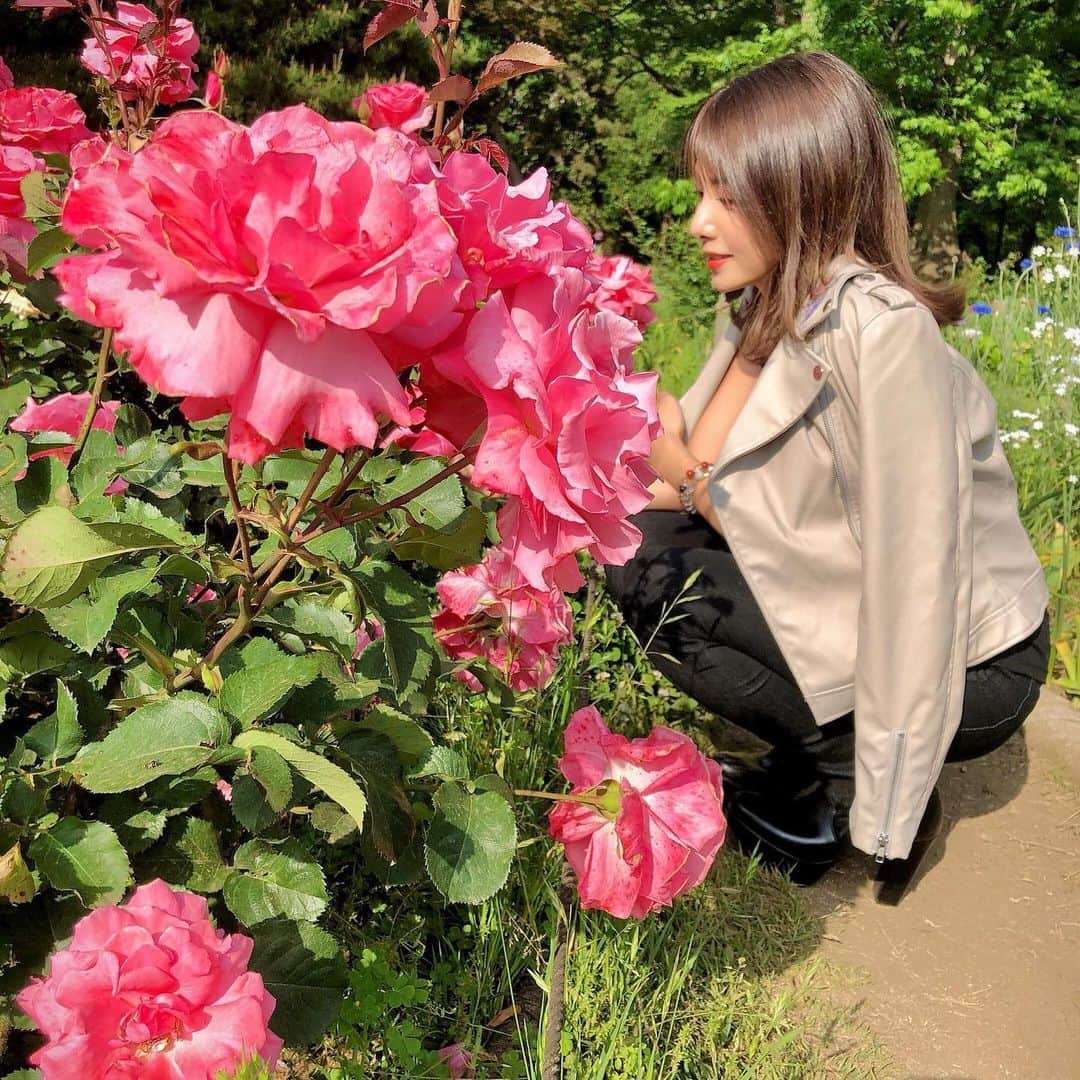 岡田栞奈のインスタグラム：「明後日から梅雨入りするということで、 お天気いい間に代々木公園まで お散歩に行きました🚶‍♀️☀️ お花が綺麗でしたよ☺️💗 幸せな時間〜♪ #代々木公園 #お散歩 #お花 #快晴」