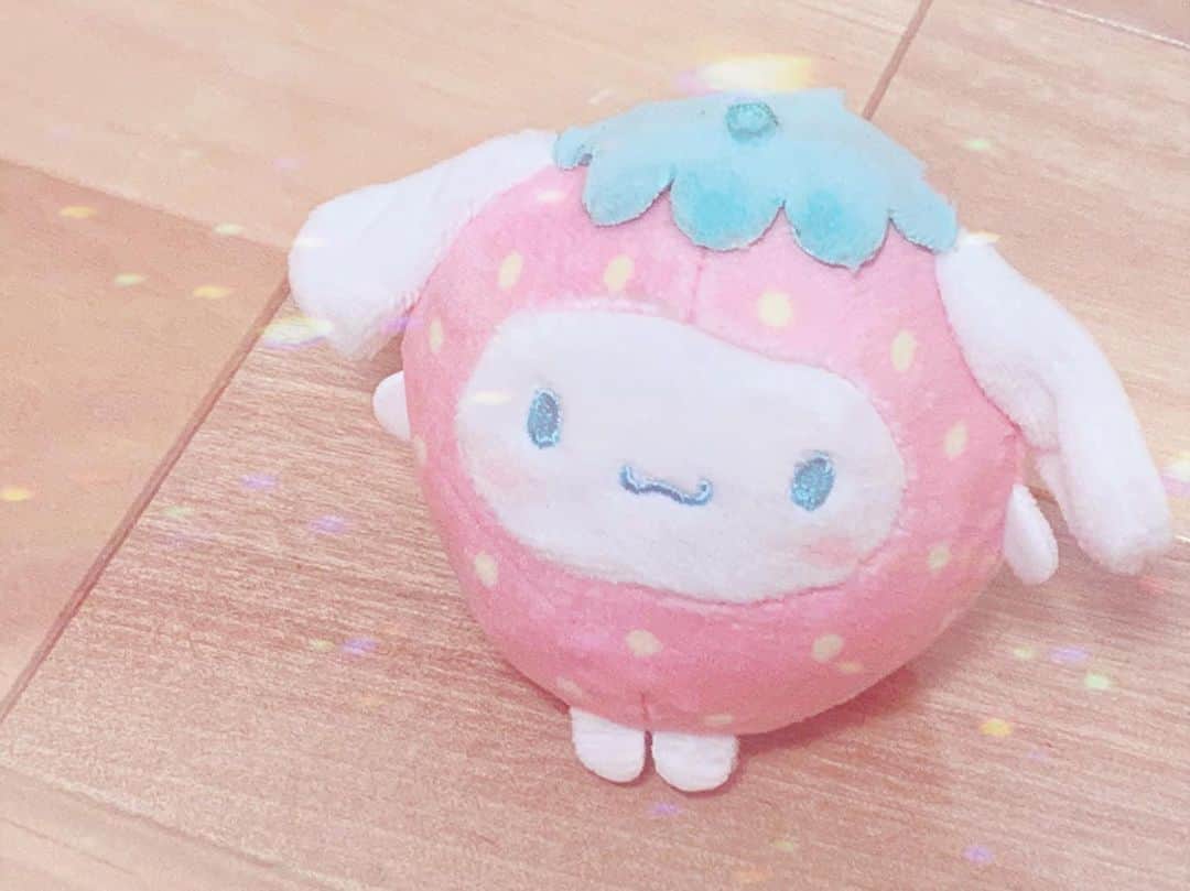 高岡薫のインスタグラム：「2年前、お姉ちゃんからもらったシナモン🥰  #シナモロール #シナモン #サンリオ」