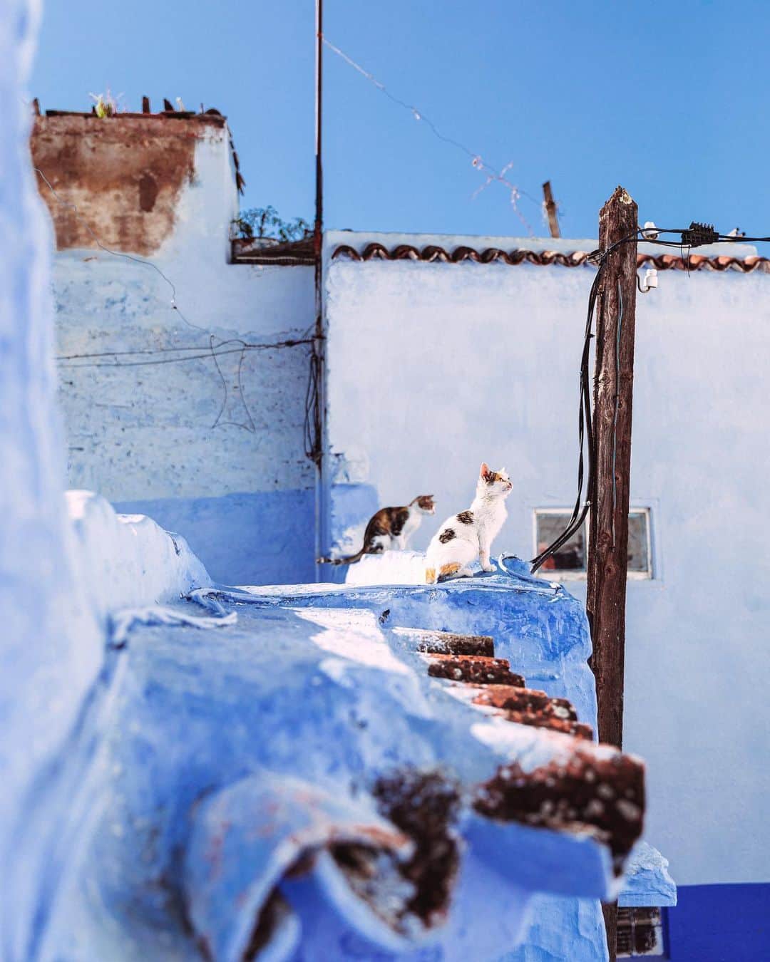 リリー＝ローズ・メロディのインスタグラム：「Streets of Chefchaouen // Went through the archives of my last trip to Morocco and came across so many images I haven’t share with you yet.」