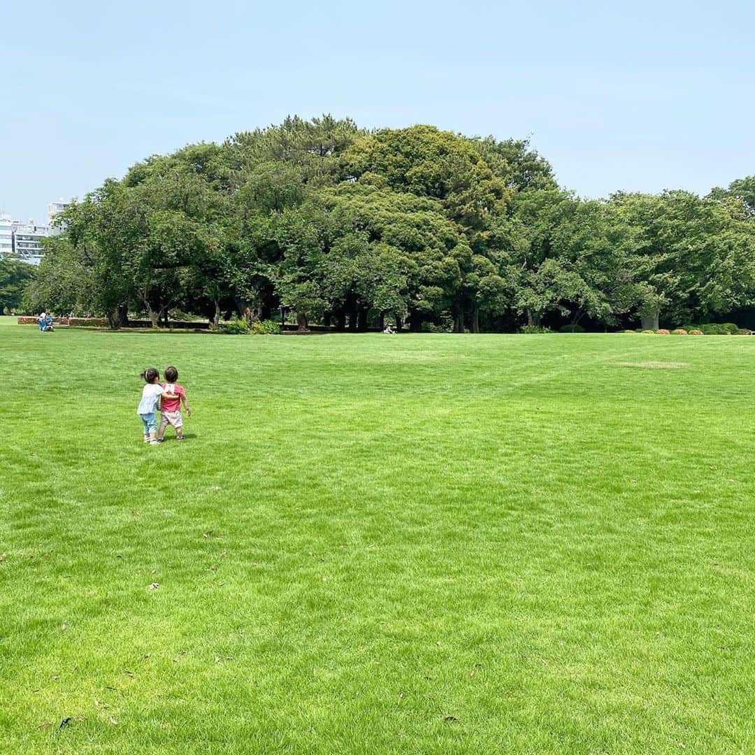 のインスタグラム：「気持ちぃー！！ 開放的！！ #開放感#みどりの芝生#自然#ストレス発散 #気持ちの良い空気」