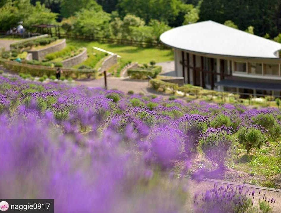 兵庫県のインスタグラム