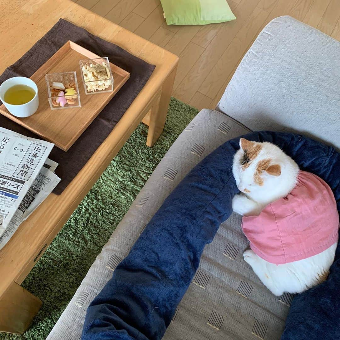 マルさんのインスタグラム写真 - (マルInstagram)「📰マルミン見ながら お菓子食べながら 新聞をよみながら な、午後３時 ₍^·͈༝·͈^ฅ本日の🍵おやつは ポップコーン、こんにゃくチップ、どうぶつビスケットだよ . . マルちゃんと　#おうちカフェ　#お菓子 #日々の暮らし#猫との暮らし#おうち時間 #猫#cat#ねこ部#ペコねこ部#ねこのきもち #cute#ilovepets#petstagram#catstagram#catsofinstagram#pleasantcats#おやつ #instagood#にゃんすたぐらむ#ふわもこ部 #catloversclub#ilovepets#happycatclub #cat_features#thekittypost#sweetcatclub#bestmeow#暮らしを楽しむ#ねこすたぐらむ#sleep」6月9日 16時23分 - maruruna