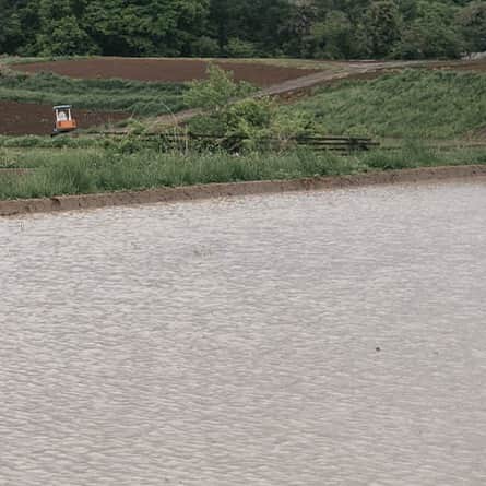 ヒラハルのグルメインスタ