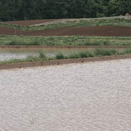ヒラハルのグルメインスタ