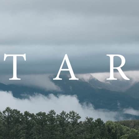 ヒラハルのグルメインスタ