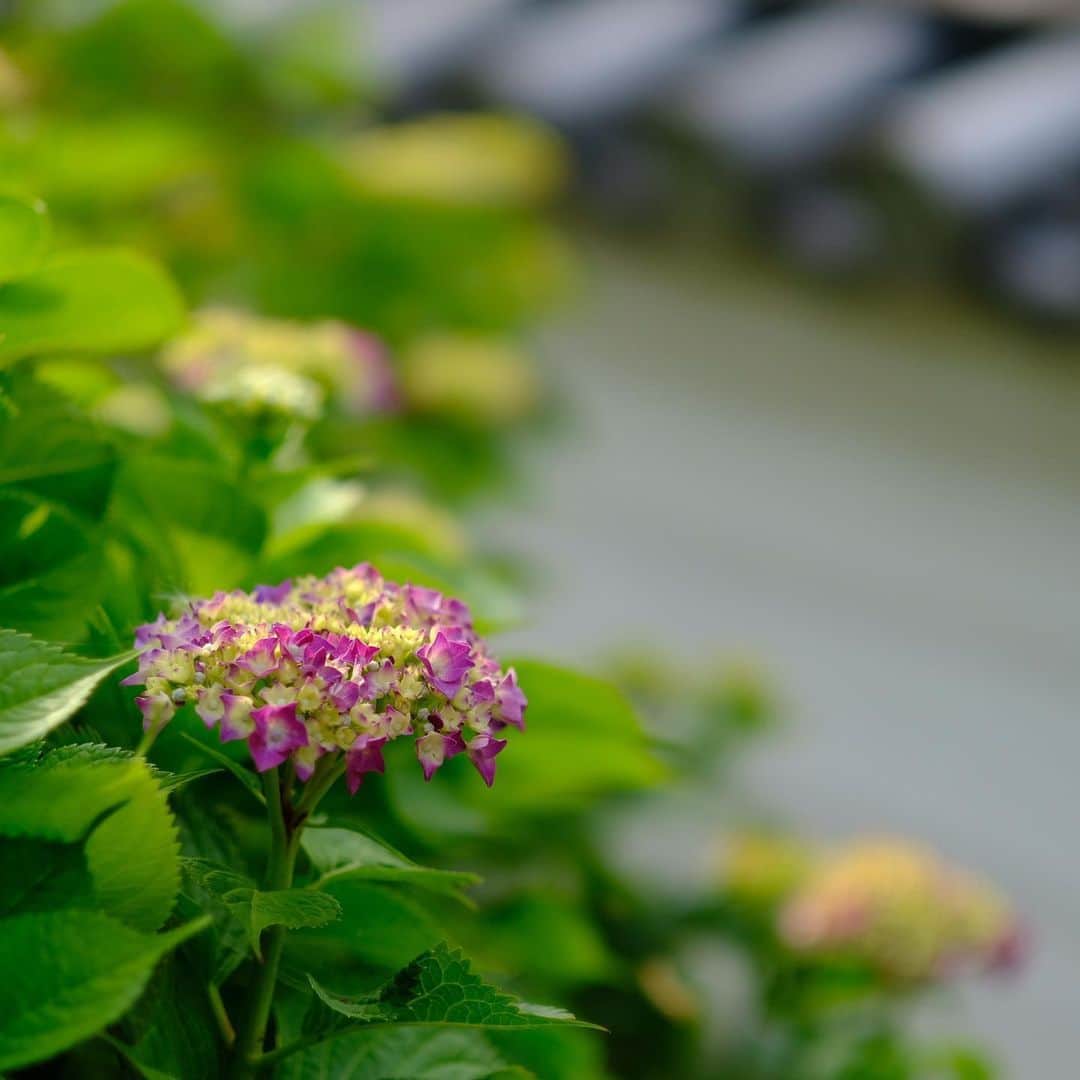 奈良 長谷寺 / nara hasederaのグルメインスタ