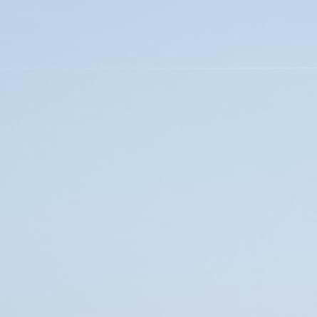 ヒラハルのグルメインスタ