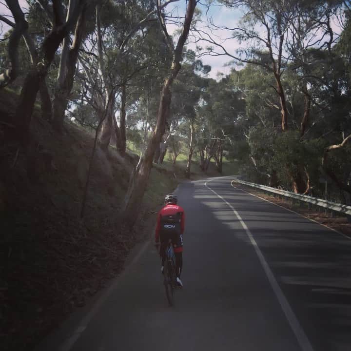 土井雪広のインスタグラム：「だから〜、上りの撮影は🤮🤮🤮🤮🤮 #gcn #canyon #castelli」