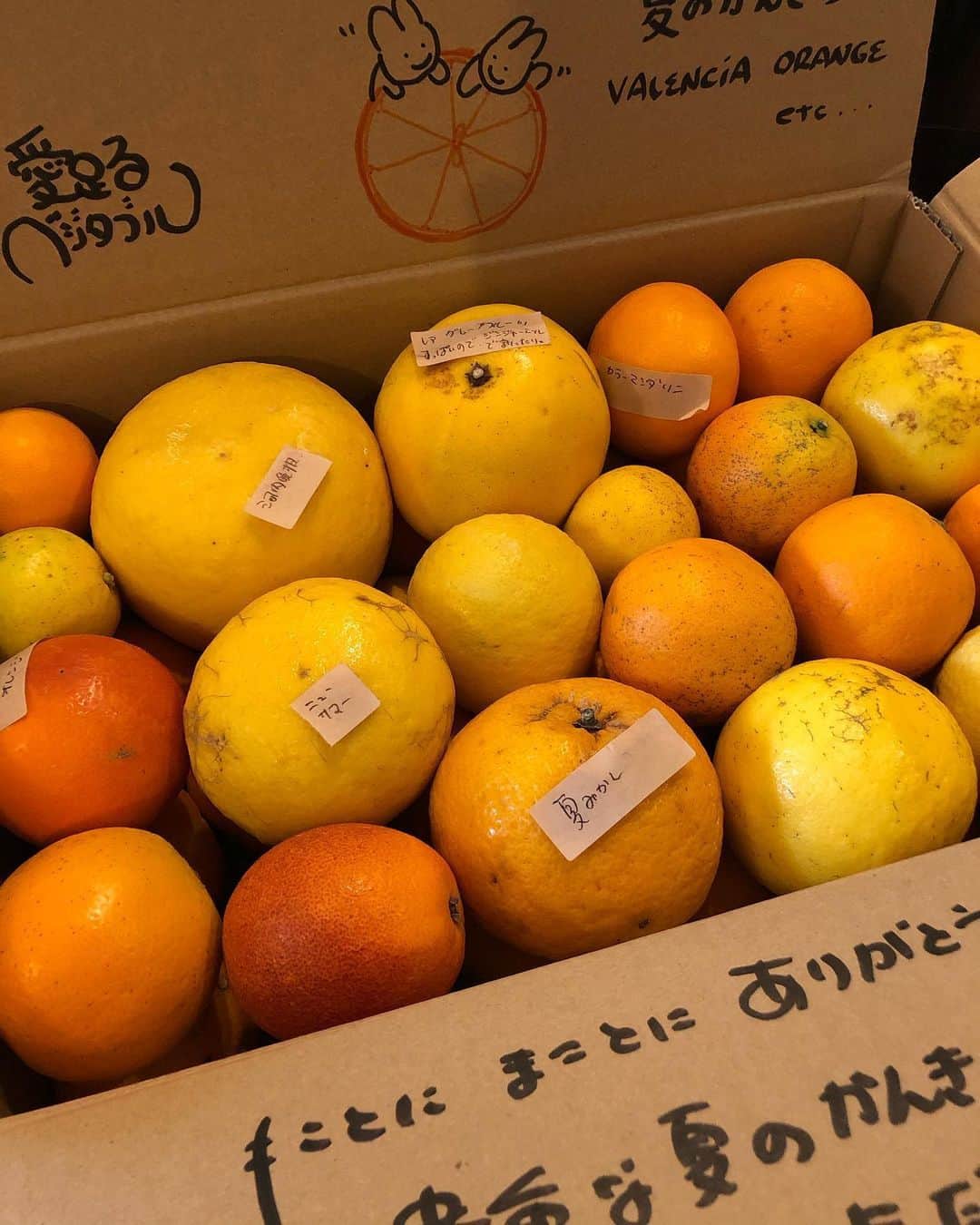 甘糟記子さんのインスタグラム写真 - (甘糟記子Instagram)「愛たるベジタブルさんから、貴重な夏の柑橘を買わせていただきました(≧∀≦)！ 本当にいろんな種類が入ってて、宝箱みたい！！ ブラッドオレンジとかもあって、イタリアのジュースを思い出すよね(o^^o)  あゆんこ　@ayumiayunco に教えてもらって、人との縁というものに感謝(//∇//) 大切にいただきます！  #愛たるベジタブル#お取り寄せ#貴重な夏の柑橘」6月9日 17時37分 - norihey924