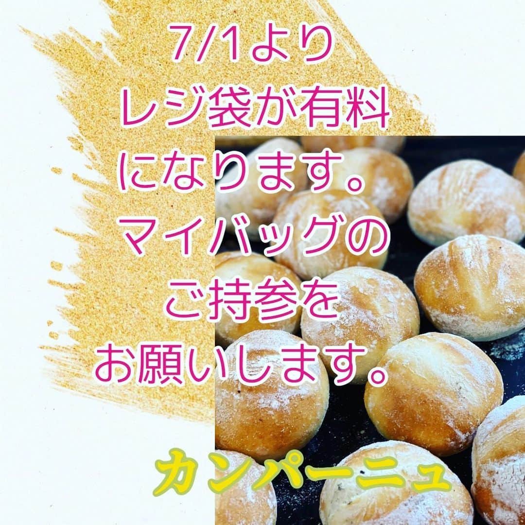 魔女菅原のグルメインスタ