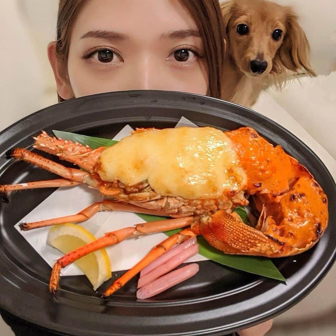 大見さなえさんのインスタグラム写真 - (大見さなえInstagram)「伊勢海老尽くし😍🦞﻿ 大森『#中納言 』その①﻿ ﻿ 伊勢海老好きにはたまらない﻿ 伊勢海老テイクアウトセット﻿ ・伊勢海老のサラダ つぶ貝添え﻿ ・伊勢海老の甲羅揚﻿ ・伊勢海老の中納言焼﻿ ・伊勢海老のお味噌汁﻿ ・伊勢海老の海苔茶漬け﻿ ﻿ 伊勢海老サラダと、中納言焼きは大ぶりの身がぱんぱんに詰まっとる😍﻿ 身も弾力あって噛むほどに旨味でてくる美味しさ(*´꒳`*)﻿ ﻿ こんなに伊勢海老尽くしで﻿ 1人前7800円→7300円6月30日まで！﻿ ﻿ 緊急事態宣言が解除されてもまだ不安なのには変わりないから﻿ テイクアウトメニュー続いてる所でお店気分味わうのも🙆‍♀️﻿ ﻿ そして！今からオフ会の抽選結果お送りしてしておりますので﻿ 日付け変わってもきてないよ！って方はご連絡ください🙇‍♀️﻿ ﻿ #伊勢海老 #大森グルメ #めぐログ_大森﻿ #中納言大森ベルポート店 #愛犬 #オフ会﻿ #東京グルメ #海鮮 #甲殻類 #犬のいる暮らし﻿ #テイクアウトグルメ #カニーヘンダックス」6月9日 18時17分 - tabe_megumi