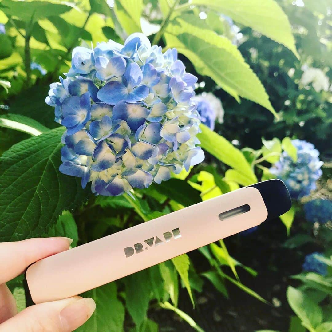 DR.VAPEさんのインスタグラム写真 - (DR.VAPEInstagram)「6月は紫陽花の季節💐 梅雨が始まるまで、DR.VAPE Model2と晴れの日を楽しみたいですね！  #DRVAPE#VAPE#Model2#travelgram#traveltotheworld#instagood#travel#ドクターベイプ#ベイプ#たびじょ#思い出#旅行#タビジョ#世界旅行#旅好きな人と繋がりたい#禁煙#禁煙グッズ#タバコ#禁煙したい#旅好き#置き画くらぶ#旅好き#電子タバコ#アロマスティック#旅行好き#旅ジョ#自然#花のある暮らし#紫陽花#アジサイ#花」6月9日 18時28分 - dr.vape_official