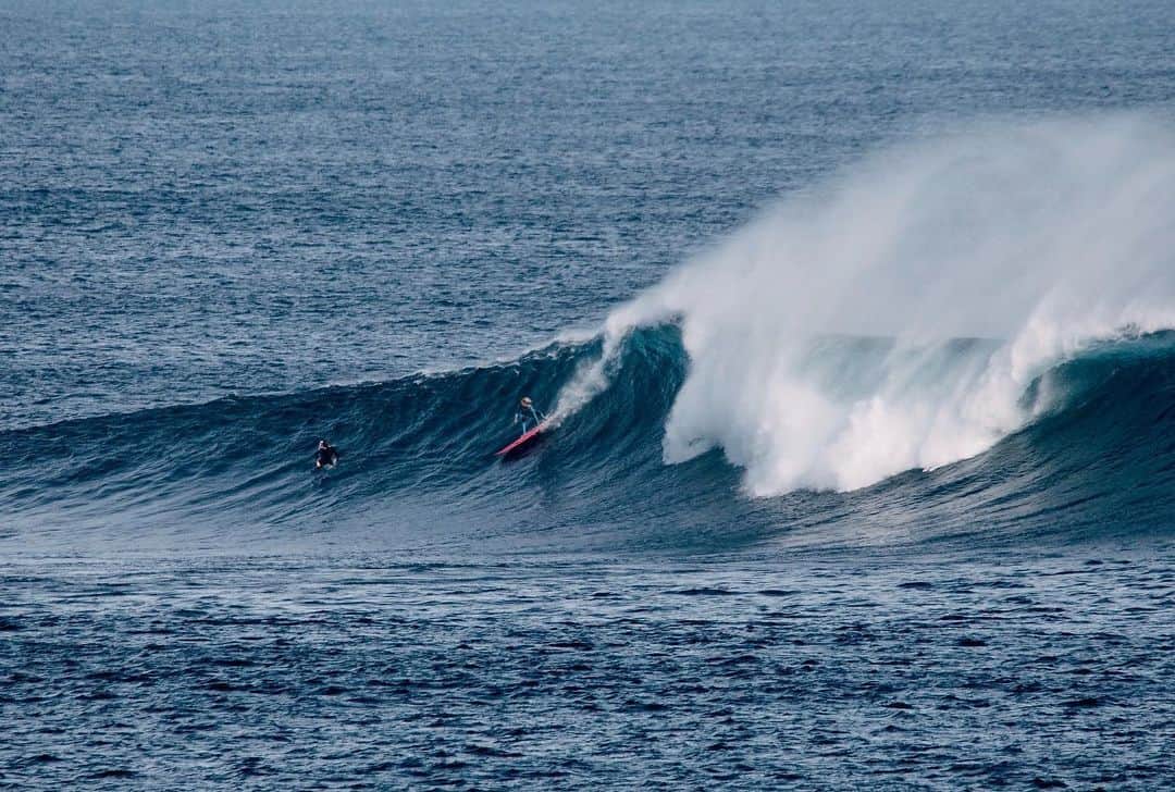 フェリシティー・パルマティアーのインスタグラム：「Learning to grab and bury the rail at one of my new favourite waves, not an easy feat on an 8,6 🌊💗 @DG.imagery」