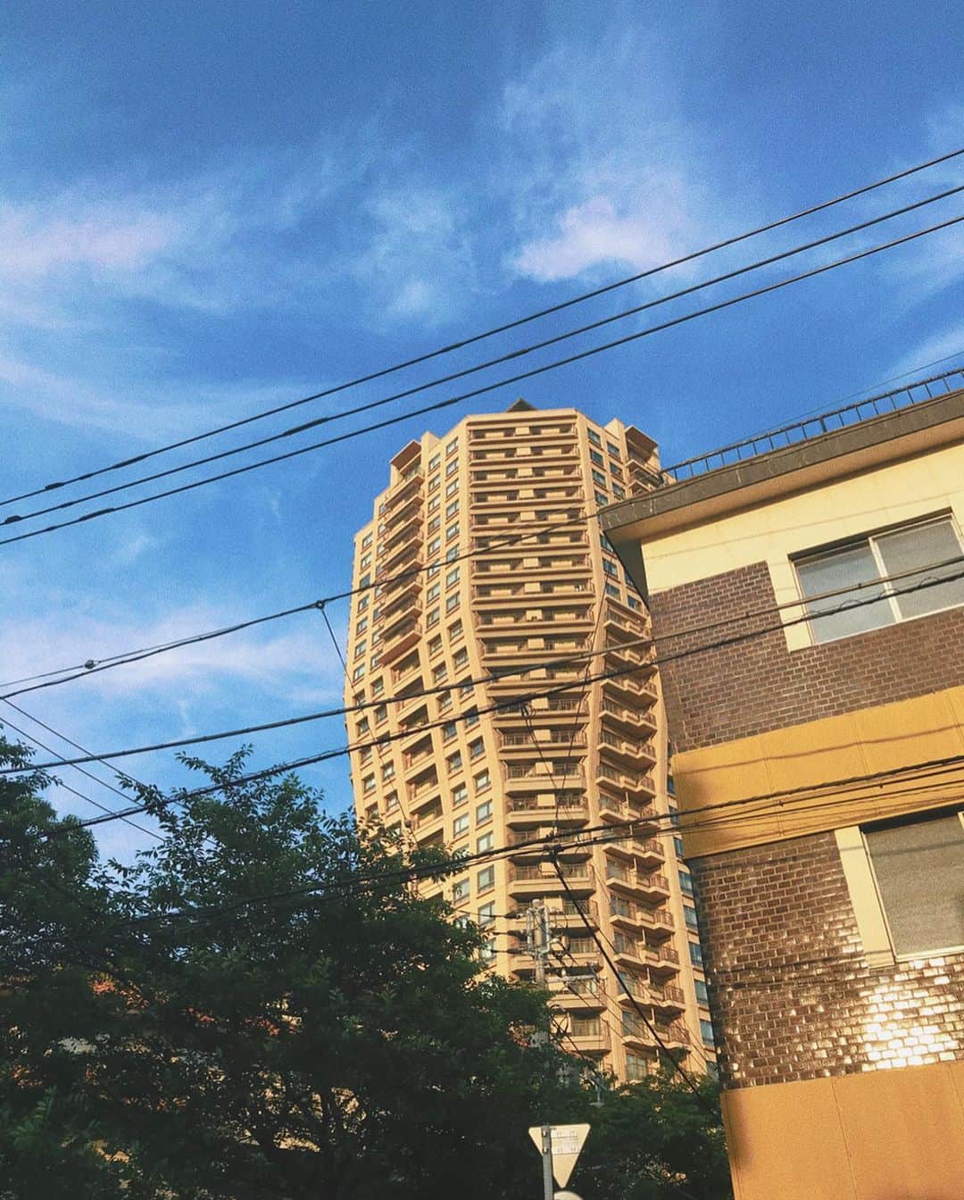 小林ようさんのインスタグラム写真 - (小林ようInstagram)「今くらいの時期の夕方がすごく好き🌇 . #tokyo #scenery #cityphoto #summertime #buildings #iphonephotography #小林寫眞室」6月9日 18時50分 - yoco12