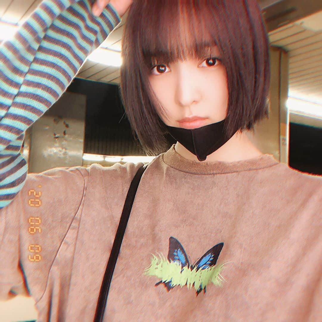 道江幸子さんのインスタグラム写真 - (道江幸子Instagram)「🦋﻿ ﻿ ﻿ ﻿ ﻿ ﻿ ﻿ #ボブ #ボブヘアー #ボブショート #ショートボブ #黒髪 #黒髪ボブ #黒髪ショート #ショートヘア #ショートカット #ショートカット女子 #ショートカット推進委員会 #ショートカット美人 #ショートヘアー #ショートヘア女子 #イメチェン #イメチェンカット #カット #ばっさりカット #黒髪女子 #自撮り #自撮り女子 #japanesegirl #捷径 #短发 #retrogirl #rétro #retro #レトロガール #レトロコーデ #324eco」6月9日 19時17分 - sachiko_michie