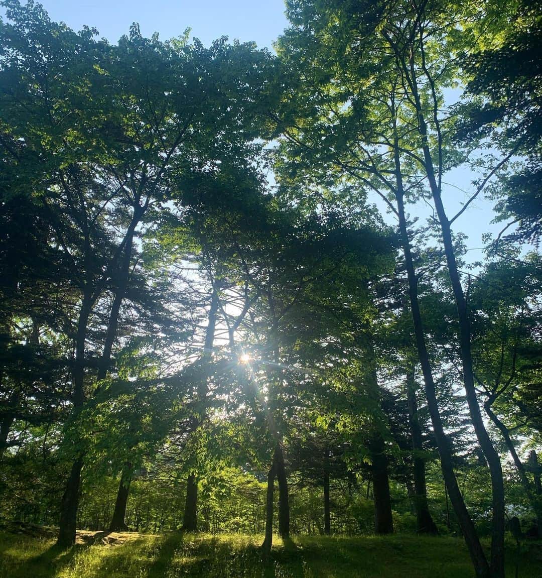 小笠原エリイさんのインスタグラム写真 - (小笠原エリイInstagram)「軽井沢にある諏訪神社に行ってきました。天気も良く、空気も美味しい。都会も良いけど、やっぱり自然は落ち着く&リラックスできる〜🌳️✨ 緑豊かな美しい場所でした！☺️ ・ ・ #神社巡り #軽井沢 #諏訪神社 #自然が好き #空気が美味しい #パワースポット #モデル #健康志向 #小笠原エリイ #軽井沢観光 #変化を楽しむ #フリーランス #免疫力を高める #夢が叶った #観光 #神社好き #日本の景色 #神社参拝 #パワーチャージ #karuizawa #japan #model #modellife #asianmodel #karuizawajapan #nagano #happy #nature #beautiful #modellifestyle」6月9日 19時23分 - ogasawaraerii__