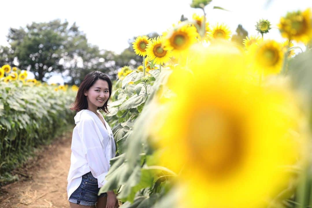 謝村梨帆さんのインスタグラム写真 - (謝村梨帆Instagram)「ひまわりやで🌻 #ひまわり#ひまわり畑#sunflower #shooting #向日葵#日本の夏 #梅雨入り#june#summerseason」6月9日 19時35分 - rihointernational