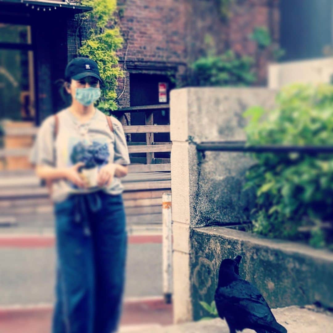 ミラクルひかるさんのインスタグラム写真 - (ミラクルひかるInstagram)「今日もカラスと待ち合わせ。  が、しかし、あいつ、めちゃ機嫌が悪かったんだぜ！ 『まだ密だ！』 とよっ！  #ミラクルひかる  #カラスと待ち合わせ　#渋谷  #カラスと会話  #カラス」6月9日 19時30分 - miracle_hikaru_official