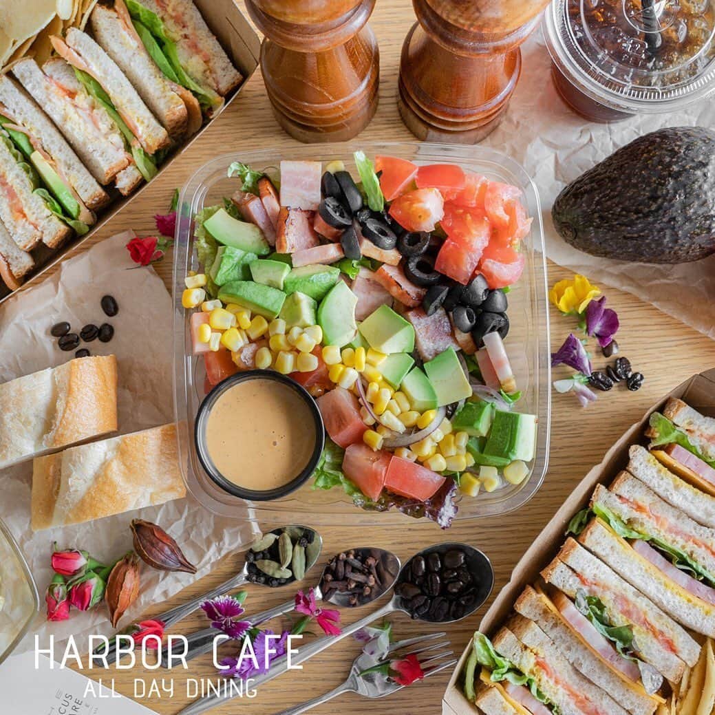 株式会社ポジティブドリームパーソンズのグルメインスタ