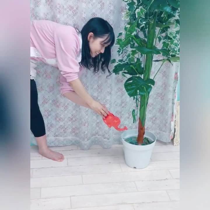 松浦景子のインスタグラム