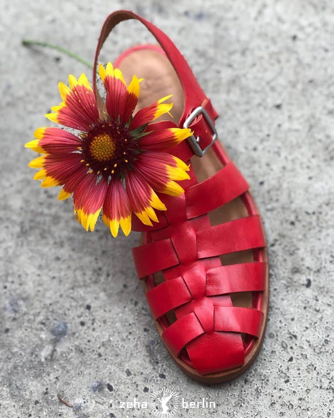 ツェハさんのインスタグラム写真 - (ツェハInstagram)「Today Mood 🌹 Discover the Urban Classics Collection for Woman NOW on line #zeha #zehaberlin #schuhe #sandalidonna #footwear #scarpedonna #sandalen #sandali #rot #rosso #red #heritage #vintage #newretro #pantone #summer #sandals #heritage #womanshoes #trend2020 #summervibes #summer2020 #estate2020 #frauenschuhe #damenmode #damenschuhe」6月9日 19時56分 - zehaberlin