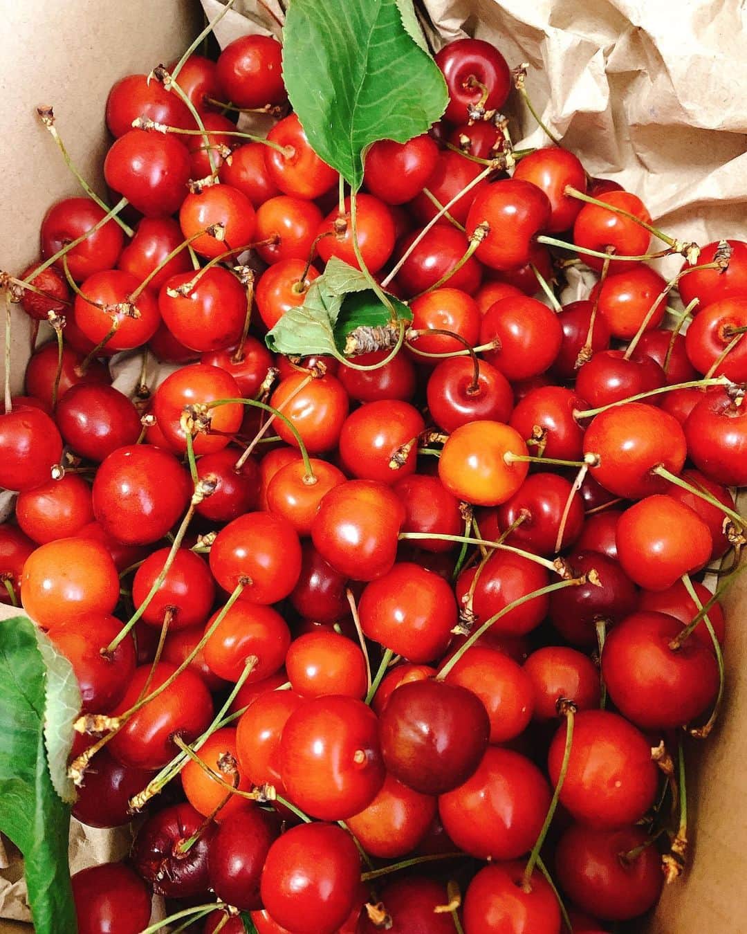 のインスタグラム：「きたー🍒✨😆 #今年初 #さくらんぼ #山形 #夏の始まり #🍒」