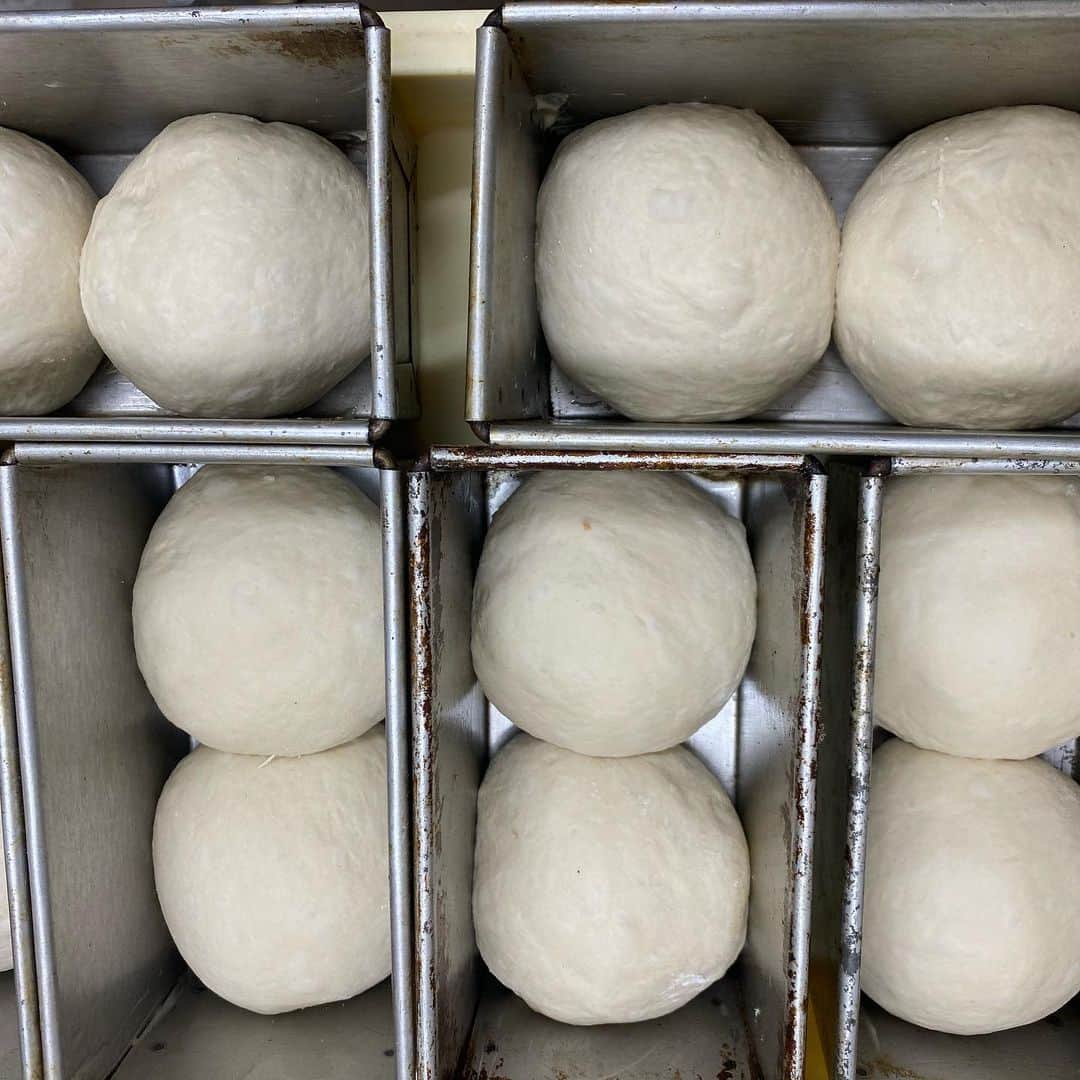 魔女菅原のグルメインスタ