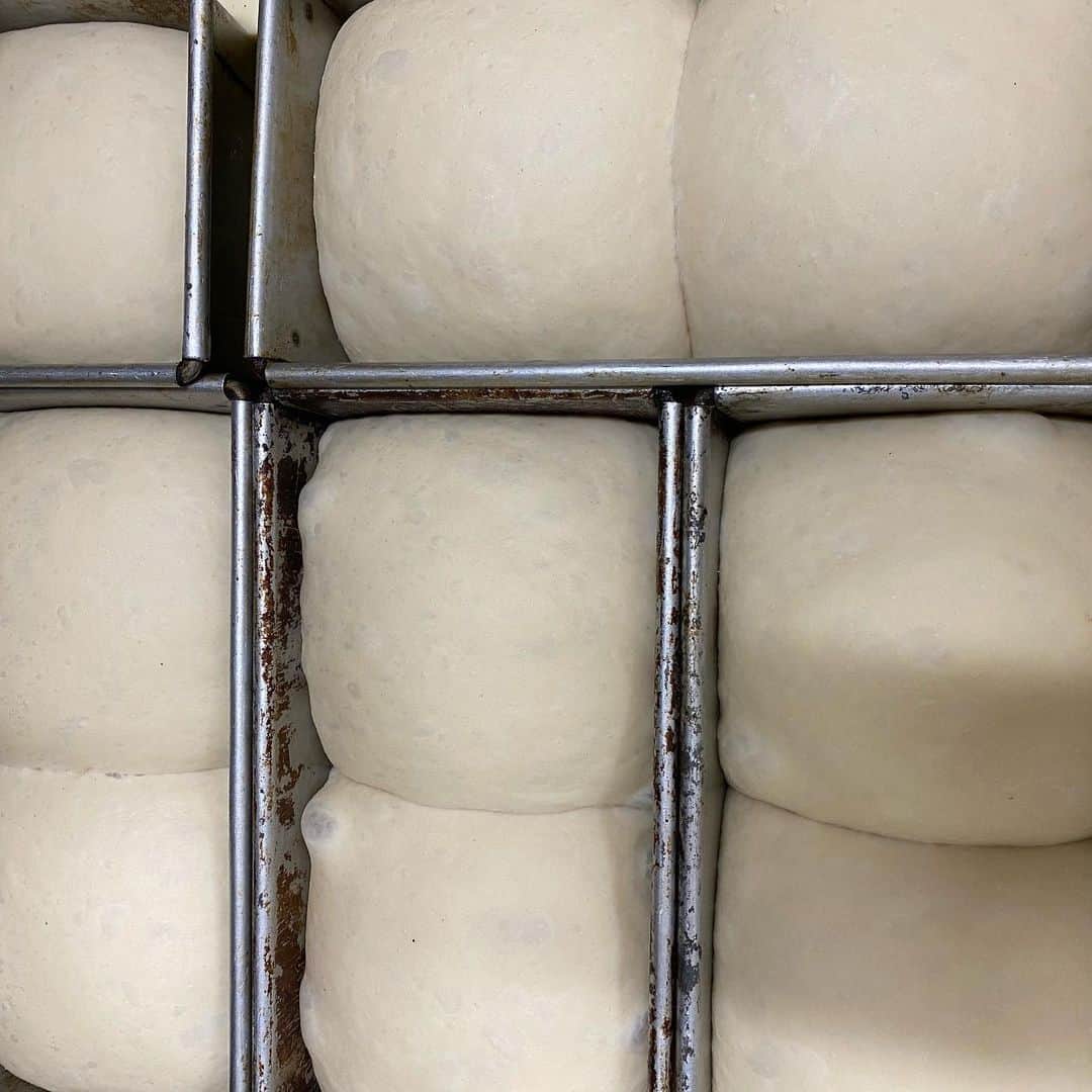 魔女菅原のグルメインスタ