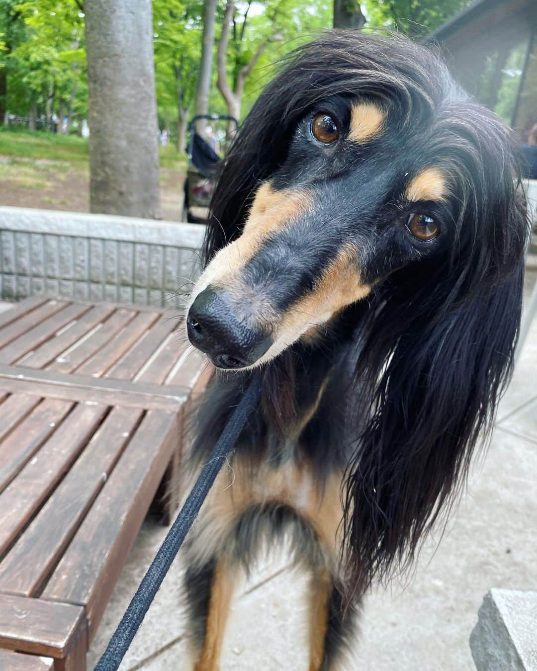 榊原みゆくのインスタグラム