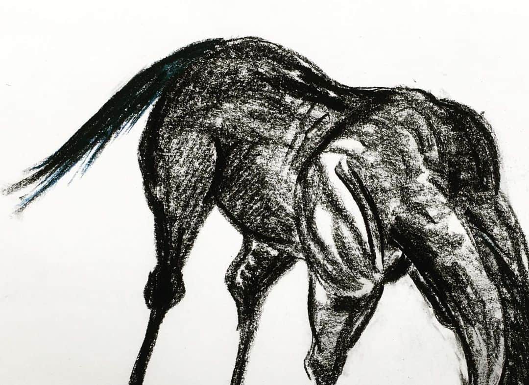 LiLi （矢野り々子）さんのインスタグラム写真 - (LiLi （矢野り々子）Instagram)「horse  lili 13yrs old.  #クレヨン #crayon 🖍 #矢野り々子」6月9日 22時00分 - liliko.y