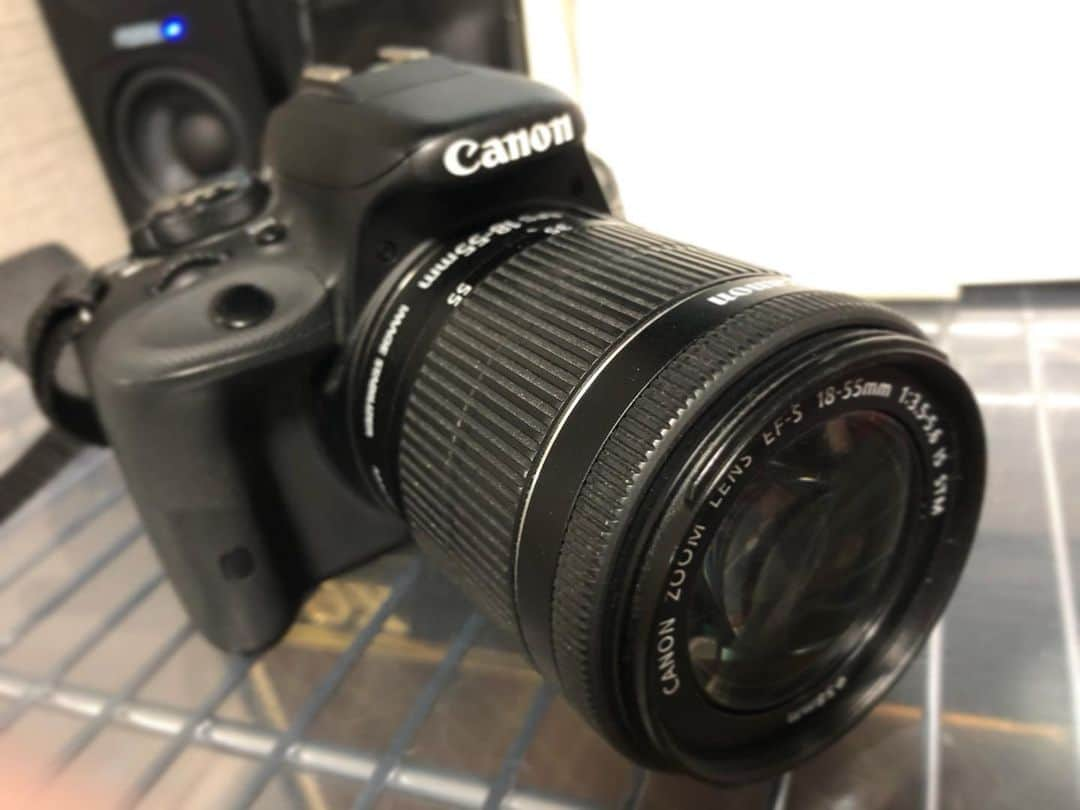 ダイゴさんのインスタグラム写真 - (ダイゴInstagram)「『canon一眼レフ』 今日は練習日だったのですが、久々に僕の仕事にイレギュラーが発生して残念ながら中止にしました😭新曲の経過報告をする予定でしたが、本日はいつも頑張ってくれるこの子を紹介します😆弾き語り動画は、主に一眼レフカメラの動画機能で撮ってまーす🤩なのでたまにカットインする『う○こ君』もちゃんとモザイクっぽくなってます🤣ただ最近使いすぎて、メモリーカードがバカになった事と、やけに充電が無くなるのが早くなりました🔋そろそろ新しいカメラが欲しい所です😆 . 🎲おまけ🎲 ①本日アベノマスク届きました😆 ②指が腫れて痛いです😭 どうやら爪の間からモロにウィルス🦠入ったっぽいです🤣ちょっと暫く弾き語りスピードダウンします😭 . 📺本日のYouTubeは‼️ 『春〜spring〜 Hysteric Blue』 https://youtu.be/Mc5Z42EfXkw . 【注目👋】フォロワーの皆さんのYouTubeチャンネル遊びに行ってまーす🚴‍♂️『YouTubeやってるよ〜』って方がいたらコメください🤩直ぐに見に行きますので👍因みに僕は『高評価ボタン』しか押しませんのでご安心を😊👍 . . 📻フォローお願いします🥺📻 ※クリックでプロフィールへ 👇👇👇👇👇 @olliesdaigo . . 🃏🃏🃏シェア拡散お願いします🃏🃏🃏 . 🦩YouTube 『THE OLLIES』オーリーズ チャンネル登録はこちら👇 https://www.youtube.com/channel/UCRNSrIvuoQZNmCHD6BHxF-A  検索する時は➡︎『オーリーズ』 . . 🎲🎲🎲 Instagram 🎲🎲🎲 https://www.instagram.com/olliesdaigo . . 🎲🎲🎲 Twitter 🎲🎲🎲 https://twitter.com/olliesdaigo . . 🎲🎲🎲 facebook 🎲🎲🎲 https://www.facebook.com/profile.php?id=100006030521245 . . . #theollies #zerocity #愛犬みき #後悔と始まりの歌 #美祢市 #山口県 #カバー曲 #拡散希望 #弾き語り #ギター初心者 #チャンネル登録お願いします #youtuber好きな人と繋がりたい #一眼レフ #一眼レフ初心者 #一眼レフのある生活 #一眼レフカメラ好きな人と繋がりたい #カメラ好きな人と繋がりたい #写真好きな人と繋がりたい #動画編集してる人と繋がりたい #動画好きな人と繋がりたい」6月9日 22時14分 - olliesdaigo