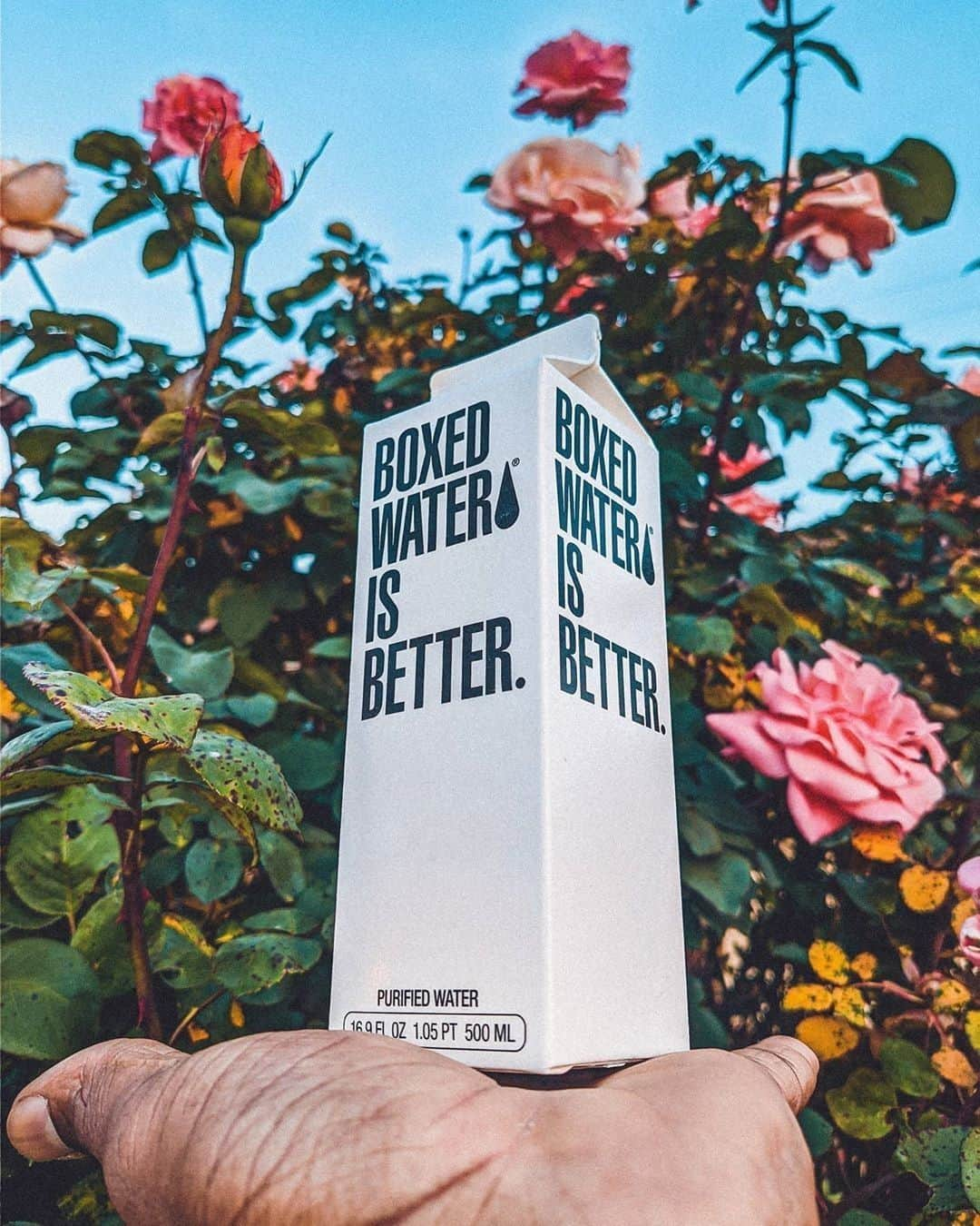 BoxedWaterさんのインスタグラム写真 - (BoxedWaterInstagram)「1 can of water is equal to the footprint of 2 Boxed Waters 💦  Aluminum is the leading cause of PFC #emissions in the US and its strip mining removed 85,000 acres of the Brazilian rainforest. Boxed Water is Better! 📷: @wrkbydom」6月10日 8時00分 - boxedwater