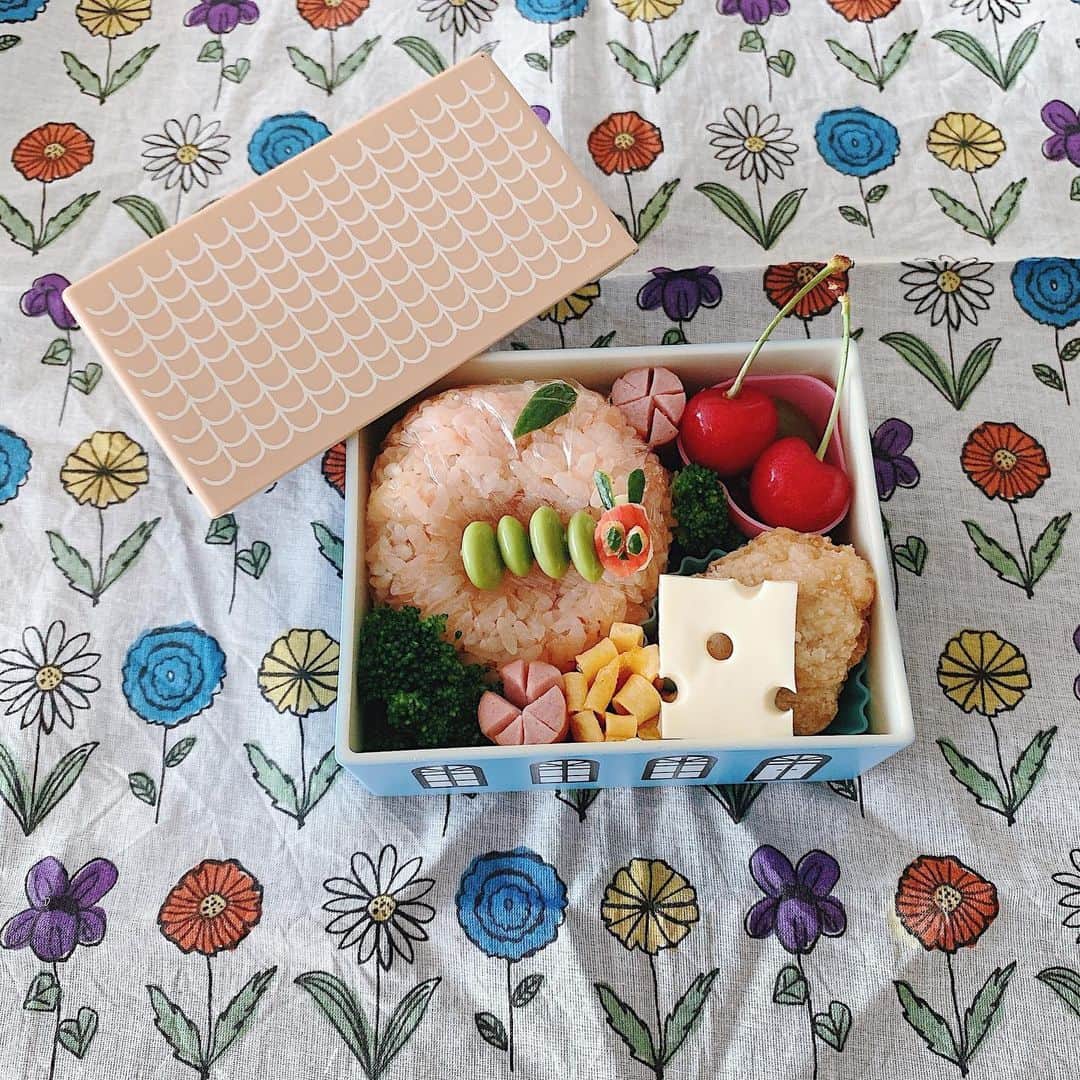 kinaxのインスタグラム：「. good morning(๑′ᴗ‵๑)☀in Japan, and good afternoon, good evening, good night for world friends! . 今日も暑そうだね☀️ 我が家のモフモフたちが冷たい床を探して 転々としつつダラダラしているよʕ •́؈•̀ ₎♡ . . さてさて今日の #kinaxおべんと は #はらぺこあおむし . むちこさん納豆は大好きなのだけど 枝豆を「納豆の赤ちゃんだよー」と言っても 断固として食べないから 絶対残してきそうだけど…😂 . でも昨日先生から、お友達と 「それ美味しそうだねー」とか 「それかわいいねー」とか言いながら みんなで苦手なものにも チャレンジしてますよーーと言われたので ダメ元で入れてみるよ！ 食べてくれたらいいな！笑 . . 話はちょっと変わって そろそろ用意を始めないといけない時間なのに まだ朝ごはんが終わらないむちこさんに もう少しでご馳走様するよーー！ って言ったら 足をパタパタしているので . 慌てて食べなくていいよ、よく噛んでね、 急いで食べてるの？って聞いたら 「ううん、のんびりしてるのー」 だって(´Д` )苦笑 . のんびりはちょっと困るかなぁ…(´Д` )笑 . . ではではみんなもちゃんと水分補給しながら 無理しすぎず過ごしてね☀️ . #kinaxfood #園児弁当 #エリックカール 2020/06/10」