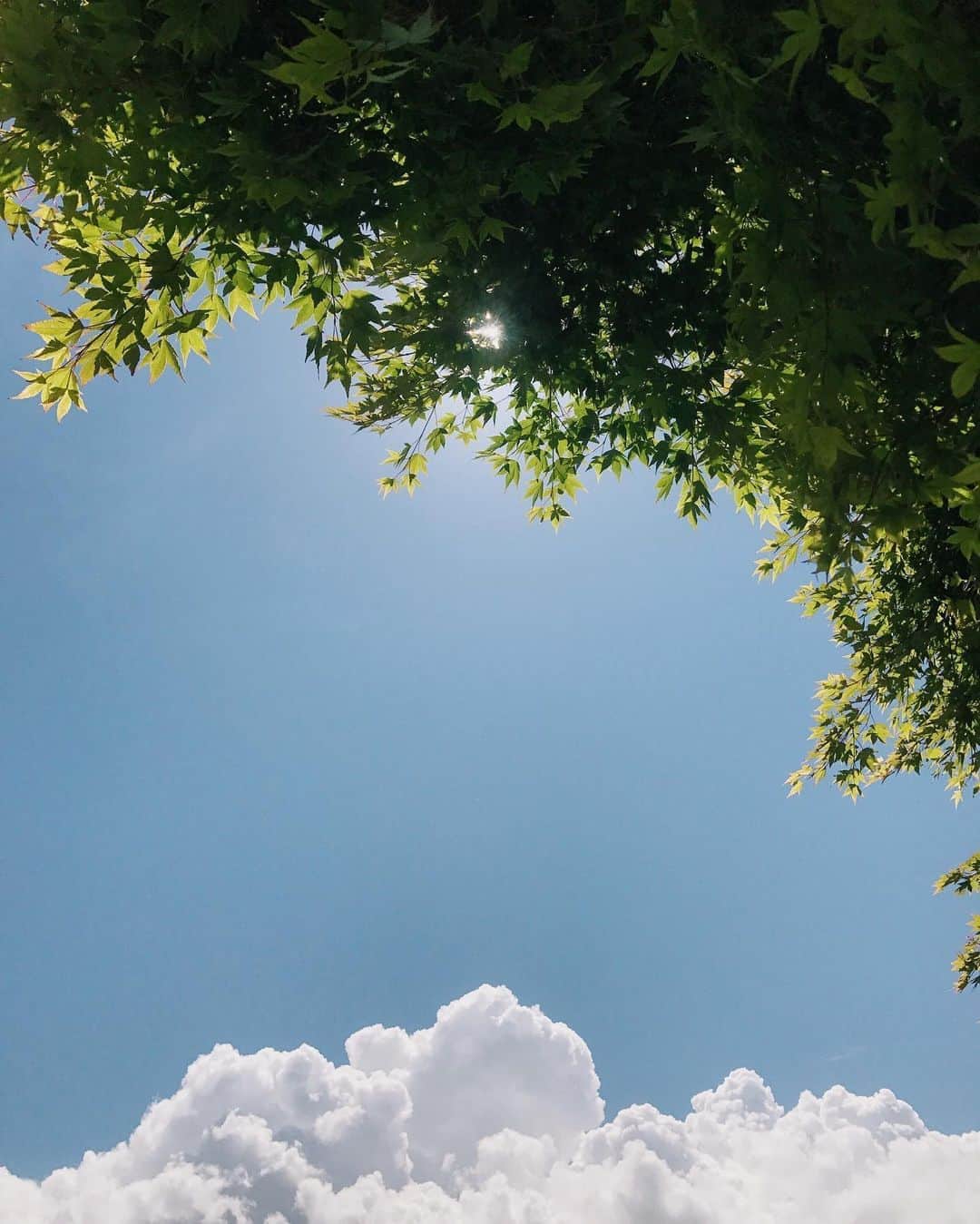 Robin May Flemingのインスタグラム：「We sat outside a coffee shop on Sunday, sipping drinks, feeling the breeze, and soaking up some sun. It felt normal, but not. It's been months since we ventured out like that. Months of scurrying away with takeout, always wondering if we tipped enough (as if you can ever tip enough during a global pandemic). Nothing's changed since those scurrying days, if we're honest. The cases go up. People continue to die. But now neighbours say things like, "If you haven't gotten it yet, you probably won't get it at all. Live a little!" And I wonder why they think I'm not living. Then I wonder where they get their news.  Our realities march steadily apart.」
