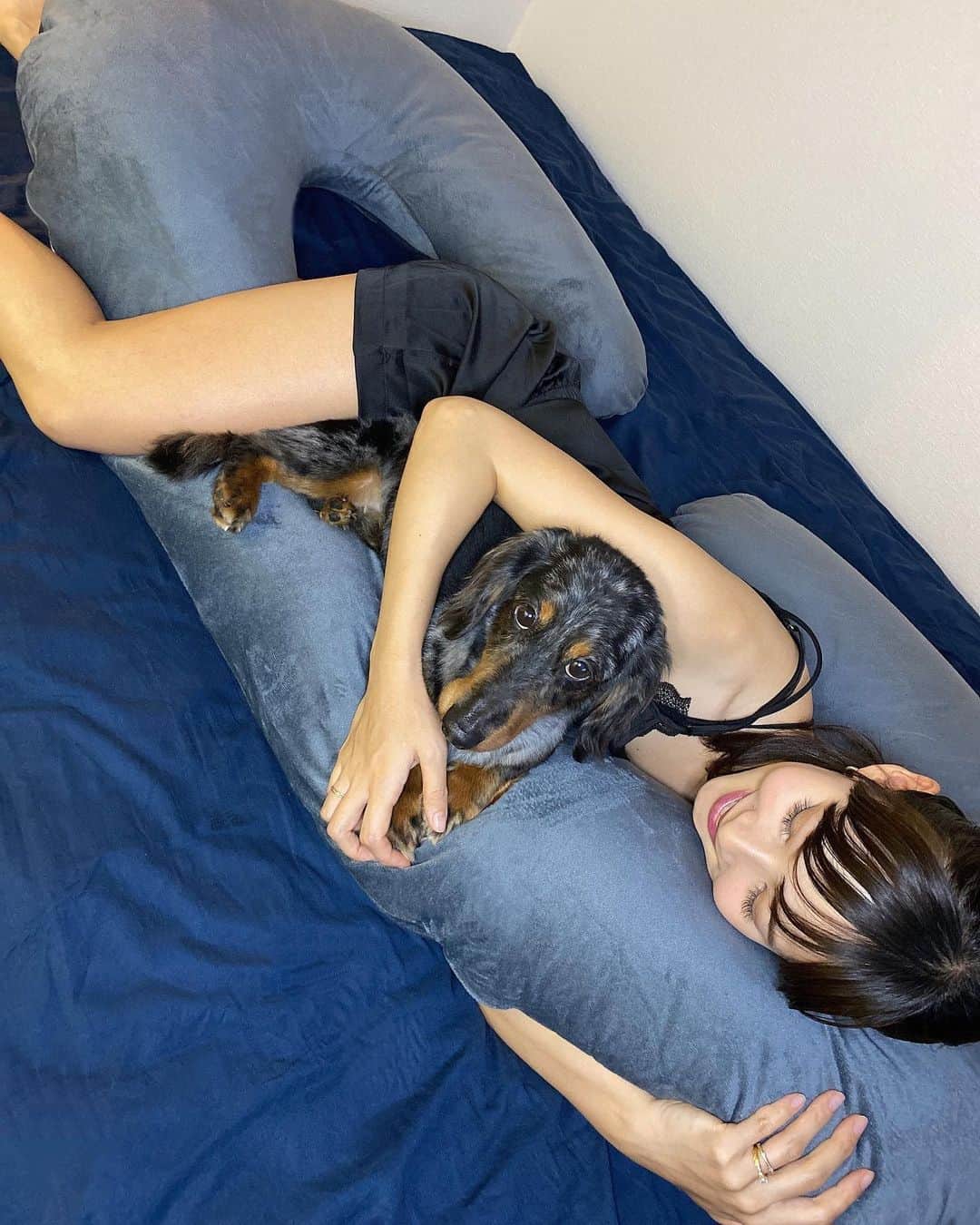 阪本智子さんのインスタグラム写真 - (阪本智子Instagram)「🤰🏻♡ #妊娠後期 に入り一気にお腹が大きくなって、 寝苦しさと腰痛に悩んでいる私に、 旦那さんからの素敵なプレゼント😭🎁✨ #抱き枕 ・ お腹に負担をかけずに横になれるから 毎日ぐっすり眠れてます😴💜 ウォルトもこの抱き枕が寝やすいらしく、 気づいたら1人で贅沢に使って寝てる🐶笑 ・ 週5日釣りをしてたときは 毎日の睡眠時間3~5時間で元気に動けてたけど🤣‪🎣‬ 妊婦は睡眠が本当に大切だ😪✨ ＊ #29weekspregnant #29weeks #roomwear  #maternitylife #妊婦 #29週 #妊娠8ヶ月 #妊婦コーデ #マタニティコーデ #ルームウェア #ぷんにー #マタニティライフ #阪本智子」6月10日 8時47分 - tomoko_sakamoto423
