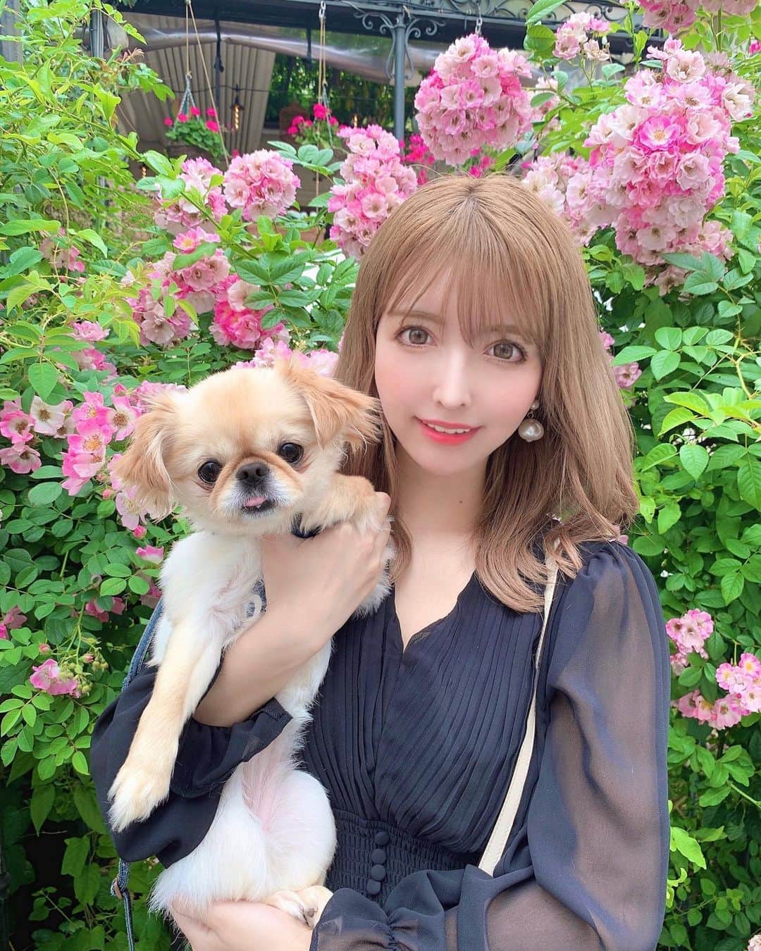 吉川ちかのグルメインスタ