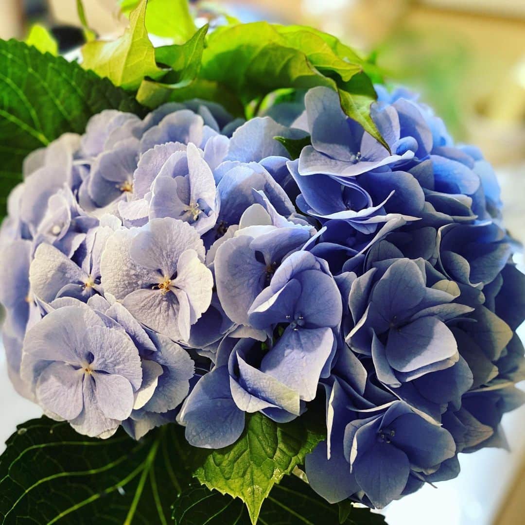 ひぐち君のインスタグラム