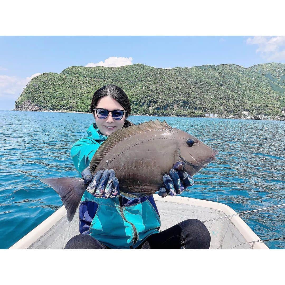 福咲れんのインスタグラム：「先日、初めてボートに乗って五目釣りしてきたよ🎣  いろんな種類が釣れてちょー楽しかった🤤  小さくてリリースしたのも沢山あったけど、1番の大物は45cmくらいのニザダイ！  釣った魚はプロに美味しくしてもらいました♪  #釣り #釣りガール #fishing #海釣り #サビキ釣り#tsurijoy #釣り好きな人と繋がりたい #釣り女子 #釣り好き #釣ったら食べる #釣果 #ニザダイ #サンノジ #サクラダイ #タマガシラ #ボート釣り」