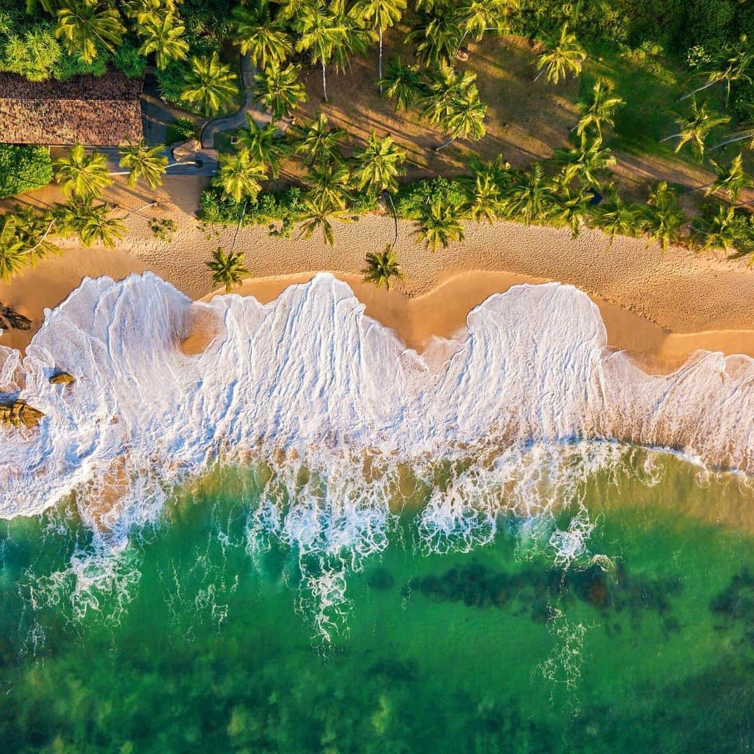 Lonely Planetのインスタグラム：「Sri Lanka is opening to visitors in August! If you are ready to take in the beautiful beaches, timeless ruins, famous tea and flavorful food there will be a few safety guidelines and precautionary measures that will need to be followed. Tap the link in our bio to find out how to travel there when the doors reopen.」