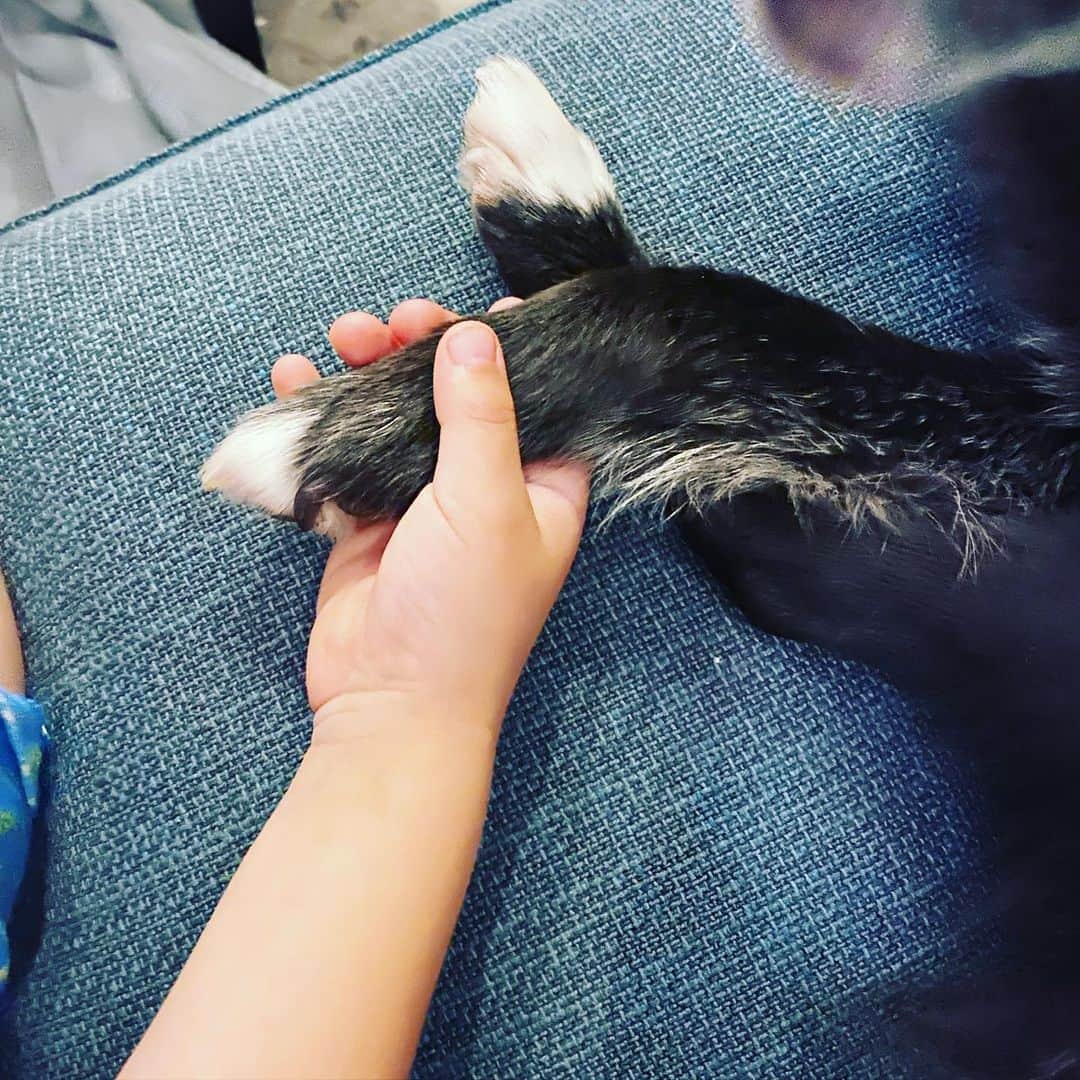 のインスタグラム：「What a couple of weeks it has been. Missed you all.  大変な数週間だった。みんな元気でしたか？ #feelingallthefeels #missyou #powerfultimes #friediamn」