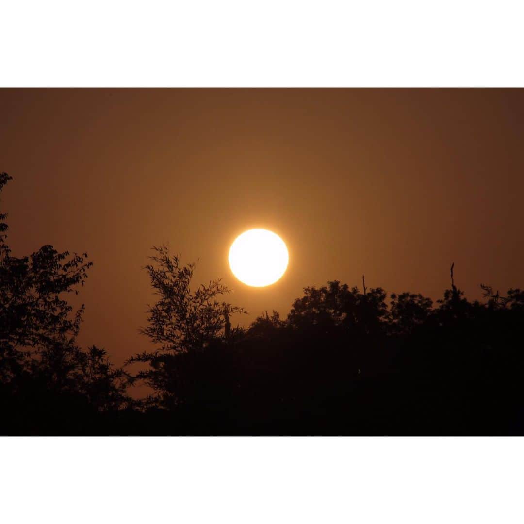 北野貴之さんのインスタグラム写真 - (北野貴之Instagram)「清々しい朝。 月から太陽に変わっていく空は、全身にエネルギーが入る。 今日も 「ニコニコ・キビキビ・ハキハキ」 を心掛けよう！  #日の出と共に#月#太陽」6月10日 7時01分 - takashi_kitano