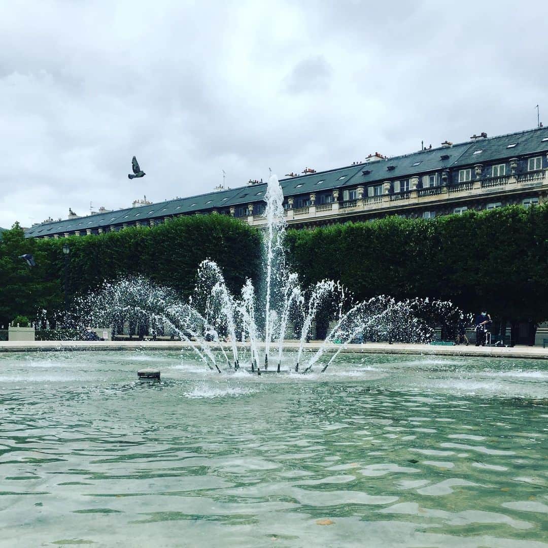 大森美希さんのインスタグラム写真 - (大森美希Instagram)「Fountain and a Flying Bird  #todaysmood #fountain #fontaine #flyingbird #bird #jardindupalaisroyal #paris #garden #park #pariswalk #todaysphoto #promenadeàparis #fashion #mode #art #parislife #decontracte #今日の一枚 #噴水 #パレロワイヤル #パレロワイヤル庭園 #パリを歩く #鳥 #写真 #今日のムード #ファッション #モード #パリ生活 #パリ散歩 #パリところどころ」6月10日 7時11分 - mikiomori_