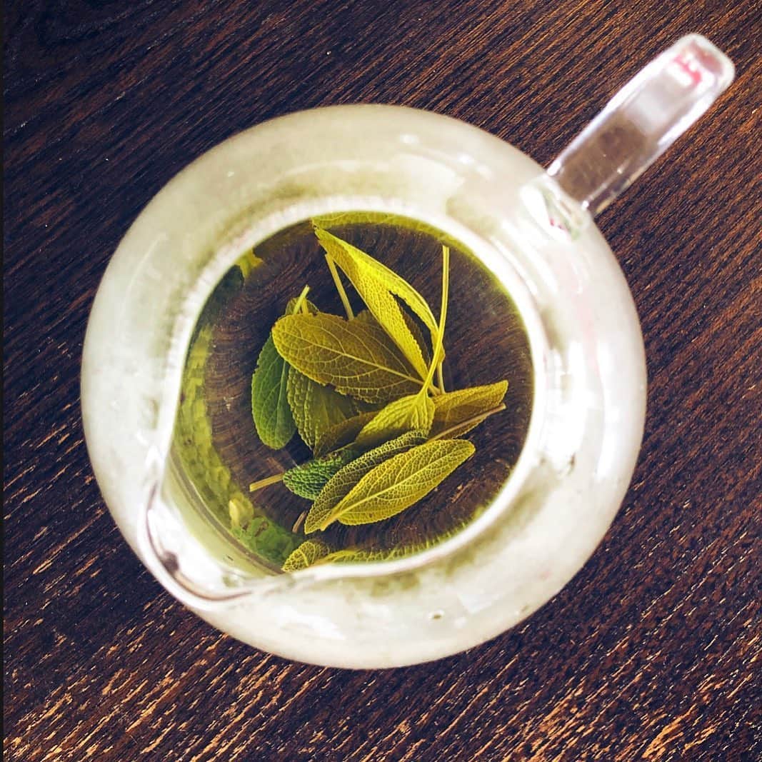 伊藤沙菜さんのインスタグラム写真 - (伊藤沙菜Instagram)「・ 庭でとれたセージでお茶🙃」6月10日 7時32分 - 37room_official