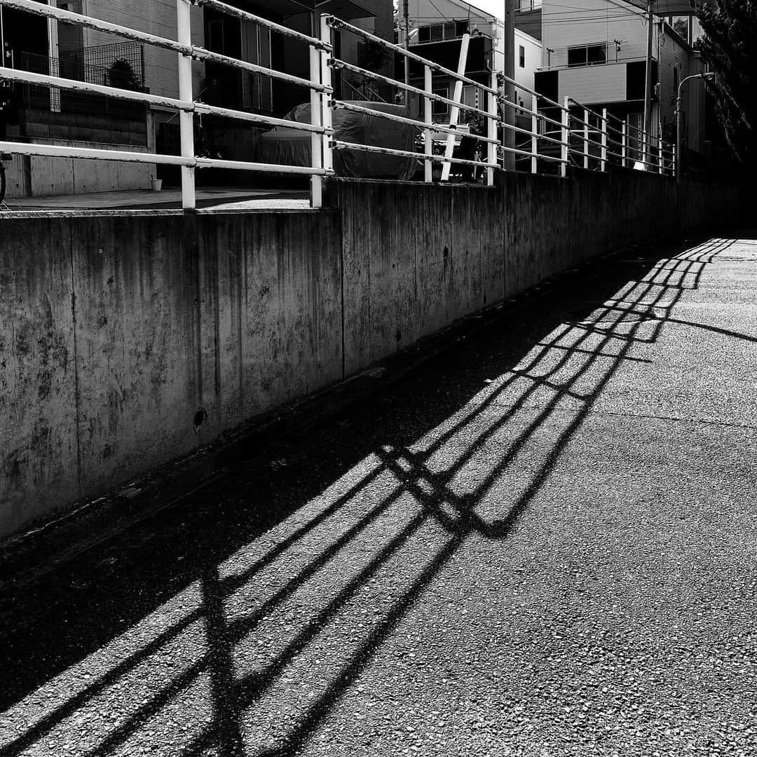 naotakeのインスタグラム：「柵 - A fence / iPhone XR & Snapseed, 20200611 . . 雨の降り出しそうな（梅雨のはじまり？）空だが、傘なし。 . . #spicollective #royalsnappingartists #infamous_family #rsa_main #infinity_photo_cult #2_fineart #jp_gallery_member #jp_gallery_bnw #trb_bnw #wp_bnw  #bnw_life #bnwlife_member #bnw_life_shots #bnw_captures #world_bnw #top_bnw #team_jp_ #team_jp_モノクロ #ig_energy_bw #ig_nihon #streetphotographybnw #igersjp #blackandwhite #bnw #bnwphoto #monochrome #bw #bnwphotography #ShotOniPhone #shotoniphoneXR」