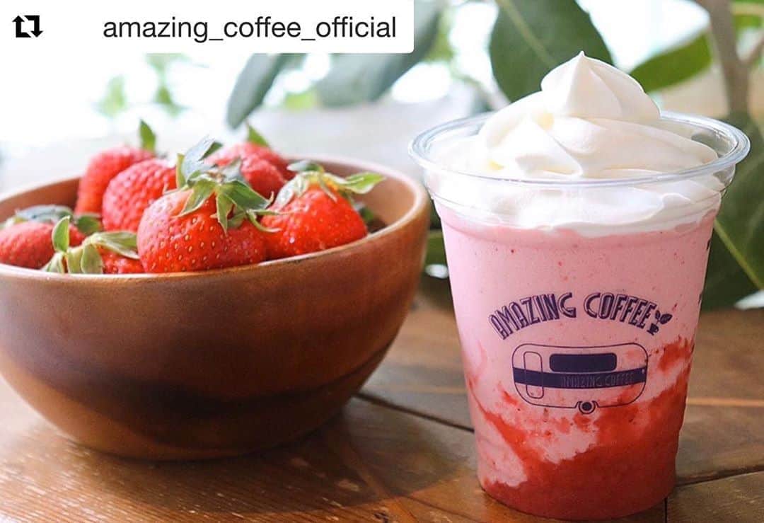 NESMITHのインスタグラム：「待ちに待ちに待ちました🍓 いよいよ12日から１日数量限定で地元熊本の美味しい苺 「ゆうべに」 を使っていただいて期間限定ドリンク 「サンキゅうべにーマッチ」 がリリースされます🍓 ぜひ皆さん、めちゃめちゃ美味しいので楽しんでください😆✨ ※ サンキゅうべにーマッチ 命名したのは、、、 僕です✌️(笑) 皆さん、勇気を出して大きな声で注文しましょう🍓🍓🍓🍓🍓(笑)  #Repost @amazing_coffee_official ・・・ . 🌱Information from AMAZING COFFEE TOKYO NAKAMEGURO☕️ . TOKYO NAKAMEGURO限定のシャリシャリシリーズに新作が登場です✨ . 『サンキゅうべにーマッチ』 . 果汁たっぷりで瑞々しい食感の、熊本県産ゆうべにいちご🍓を贅沢に使用したシャリシャリドリンク🥤 苺の香りが口の中で広がるフレッシュな感覚をぜひ、お楽しみください(^o^)v . ※こちらの商品は1日にご用意できる数に限りがございます、その為なくなり次第その日の販売を終了とさせていただきますのでご了承ください。 . 【商品名】 サンキゅうべにーマッチ . 【販売期間】 6/12(金)〜 . 【販売価格】 ¥700(税込) . 【取扱店舗】 TOKYO NAKAMEGURO . #AMAZINGCOFFEE #TOKYONAKAMEGURO #AMeCO #アメコ #coffee #ゆうべにいちご #シャリシャリ @jakk_nikoyaka @exile_nesmith_official」
