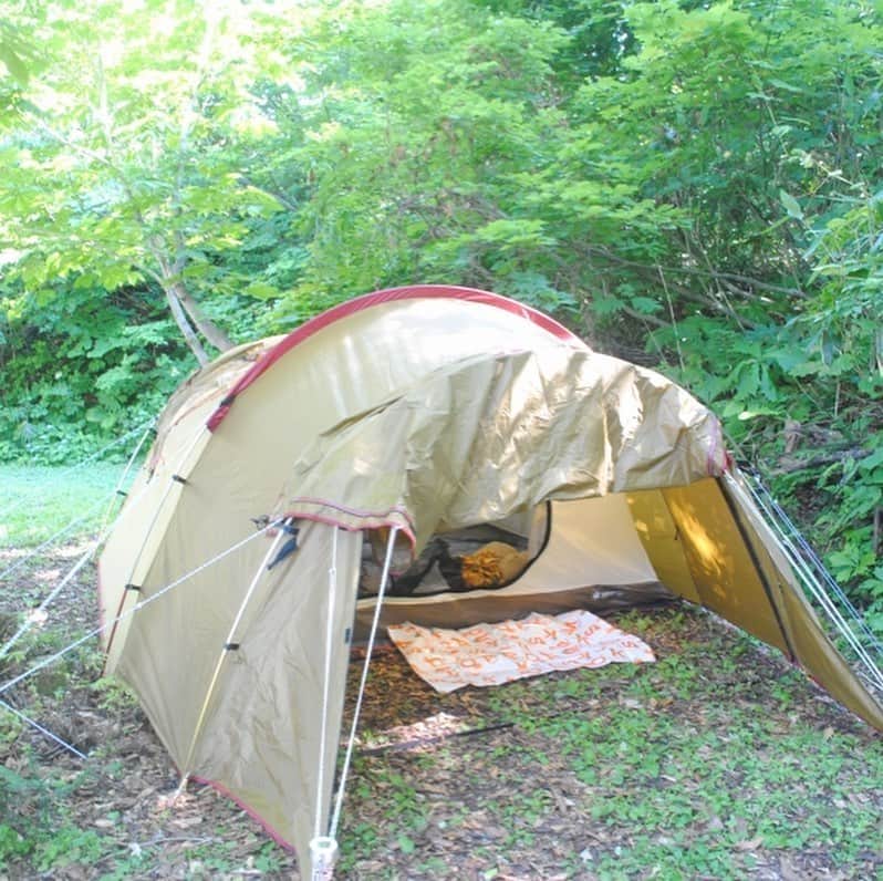 キャンプ情報サイト［ランタン］さんのインスタグラム写真 - (キャンプ情報サイト［ランタン］Instagram)「CAMP SMILE STYLE ／ インフィニティチェアで 愛犬と星空を満喫！ ＼ いろんなキャンパーのキャンプスタイルを現地取材と一般キャンパーからの投稿で数多く掲載してます。 . . 詳しくは @lantern.camp  webサイトをご覧ください . . #camp #camping #outdoor #travel #trip #lantern_smile #nature #キャンプ #キャンプ用品 #アウトドア #テント #自然 #旅行 #キャンプ初心者  #キャンプ好きな人と繋がりたい #雨飾高原キャンプ場 #小谷村 #長野県 #ペット #ペット連れキャンプ #コールマン #インフィニティチェア #スノーピーク #エントリー2ルームエルフィールド」6月10日 17時53分 - lantern.camp