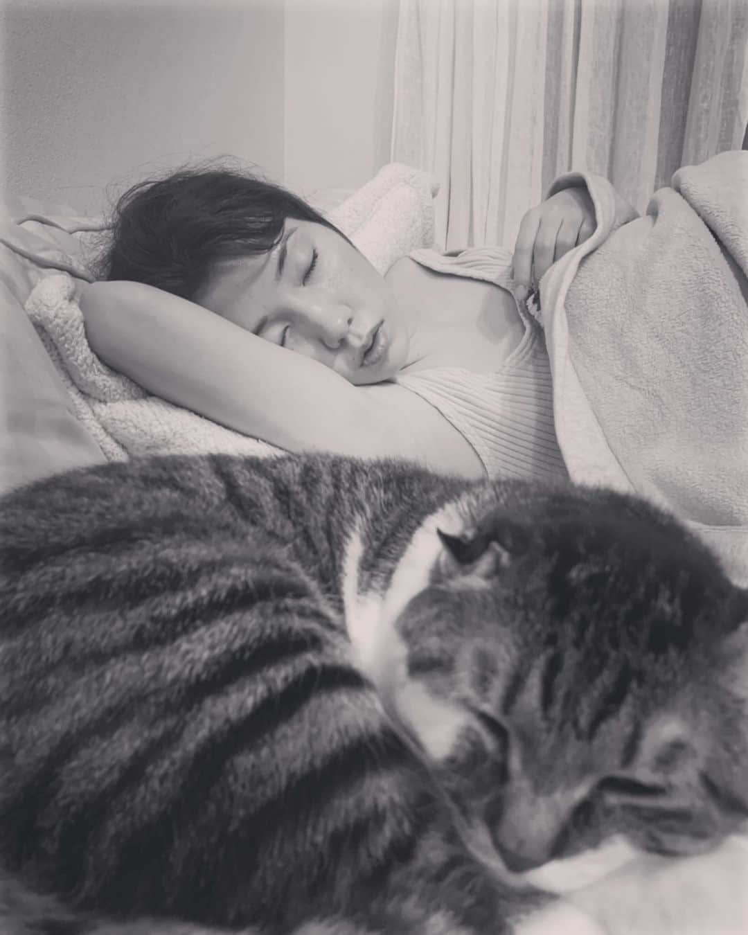 仲里依紗のインスタグラム：「定番化している 気づいたら朝までソファーコース💤 #キツネcamera . おまんじゅうおかかと共に🐈 . 本日20時にYouTubeアップします❣️ 生理前ストレス爆破動画だよ🤯 . よし！今日こそ うたた寝しないで YouTube編集仕上げるぞ😂❗️」