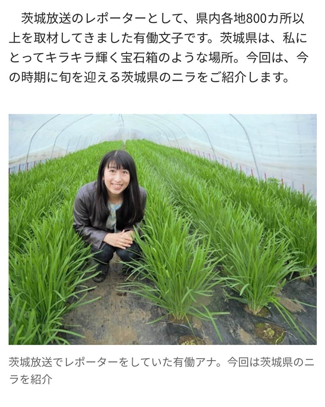有働文子さんのインスタグラム写真 - (有働文子Instagram)「#女子アナ47  @jana47com 書いたコラムが、カラふるのwebに掲載されました。 @colorfuru ﻿ ﻿ カラふる　ふるさとニュースで検索すると、今はトップに記事が出てきます👨‍🌾﻿ ﻿ ビタミンBが豊富なニラ‼︎農家に聞いた、ニラの意外な食べ方をご紹介してます🎤✨﻿ ﻿ #ニラ #茨城県 #ニラの天ぷら #カラふる記事 #女子アナ47」6月10日 9時59分 - udou_fumiko