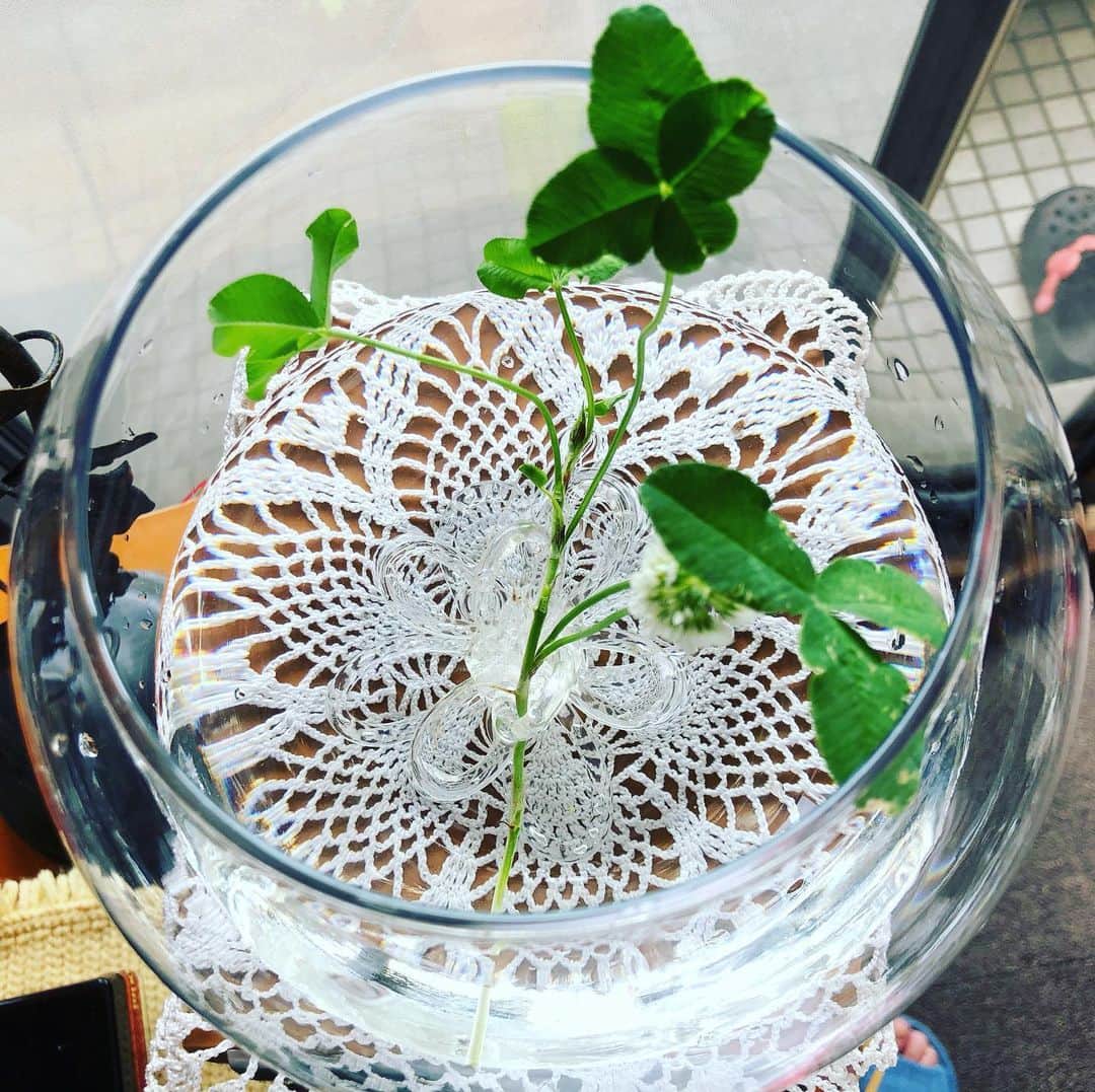のインスタグラム：「今度は、ノーマルに、四つ葉🍀 もう気がついてしまうレベルに❣️笑」