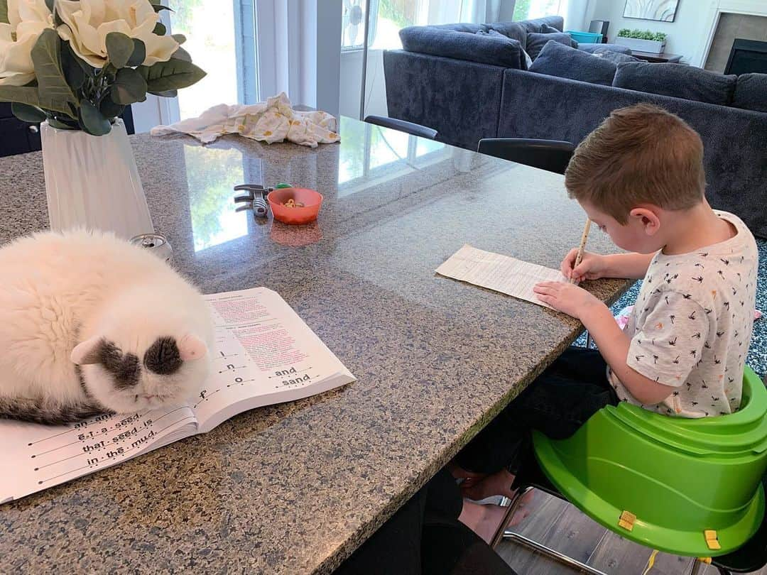 Kirby, Landru & Thomasのインスタグラム：「Today’s edition of #dagoolayingonstuff. 📖 #learningtoread #learningtoloaf」